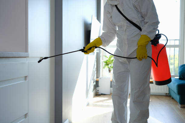 Professional Mold Removal in Albion, MI