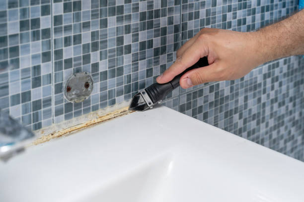 Best Commercial Mold Removal  in Albion, MI