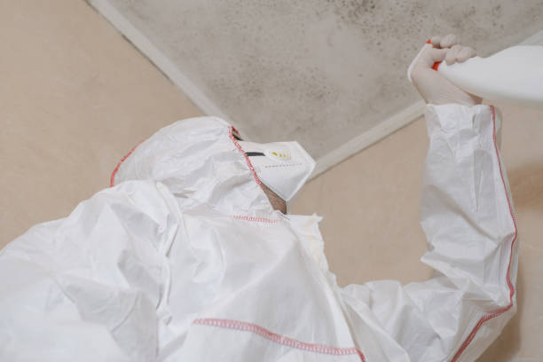 Best Commercial Mold Removal  in Albion, MI